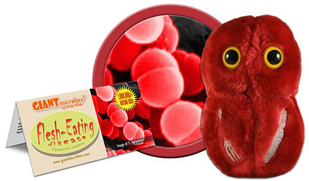 GIANTmicrobes Plush - Flesh Eating (Streptococcus Pyogenes)