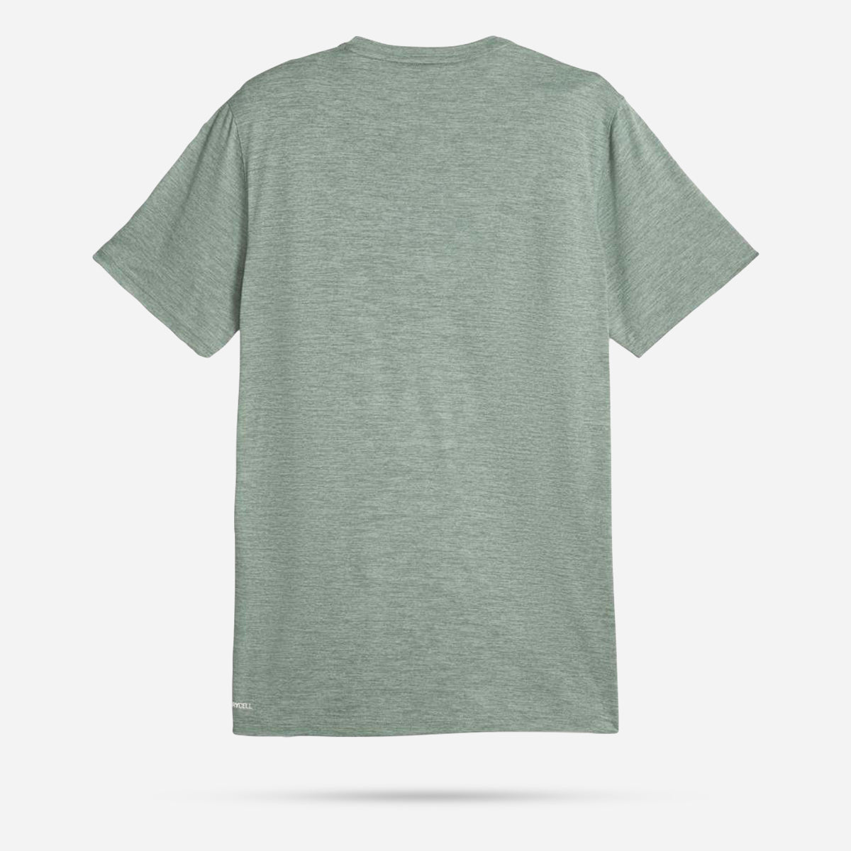 REEBOK MEN'S TRAINING SPEEDWICK GREEN TEE – INSPORT