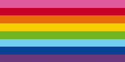 1st LGBT Flag 1978