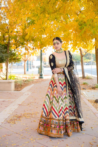 chevron lehenga - multicolor