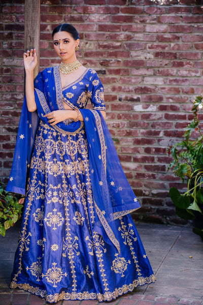 Zari embroidered Lehenga choli