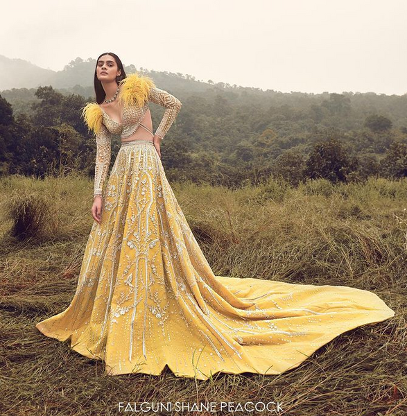 feathered trim lehenga