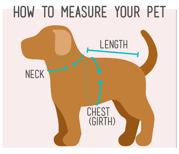 Pet measurement guide