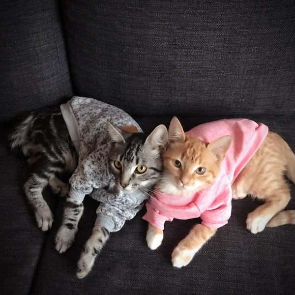 Cat/Dog apparel - sweaters