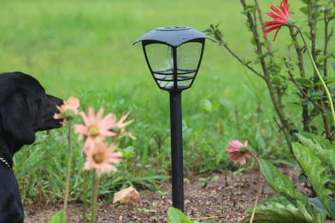 Tapetum Edison Pathway Solar Garden Light