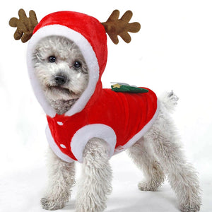 reindeer costumes for dogs