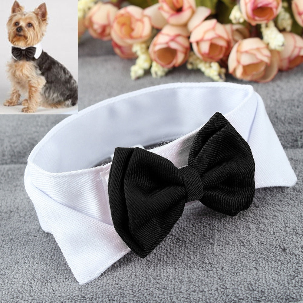 dog bow tie australia