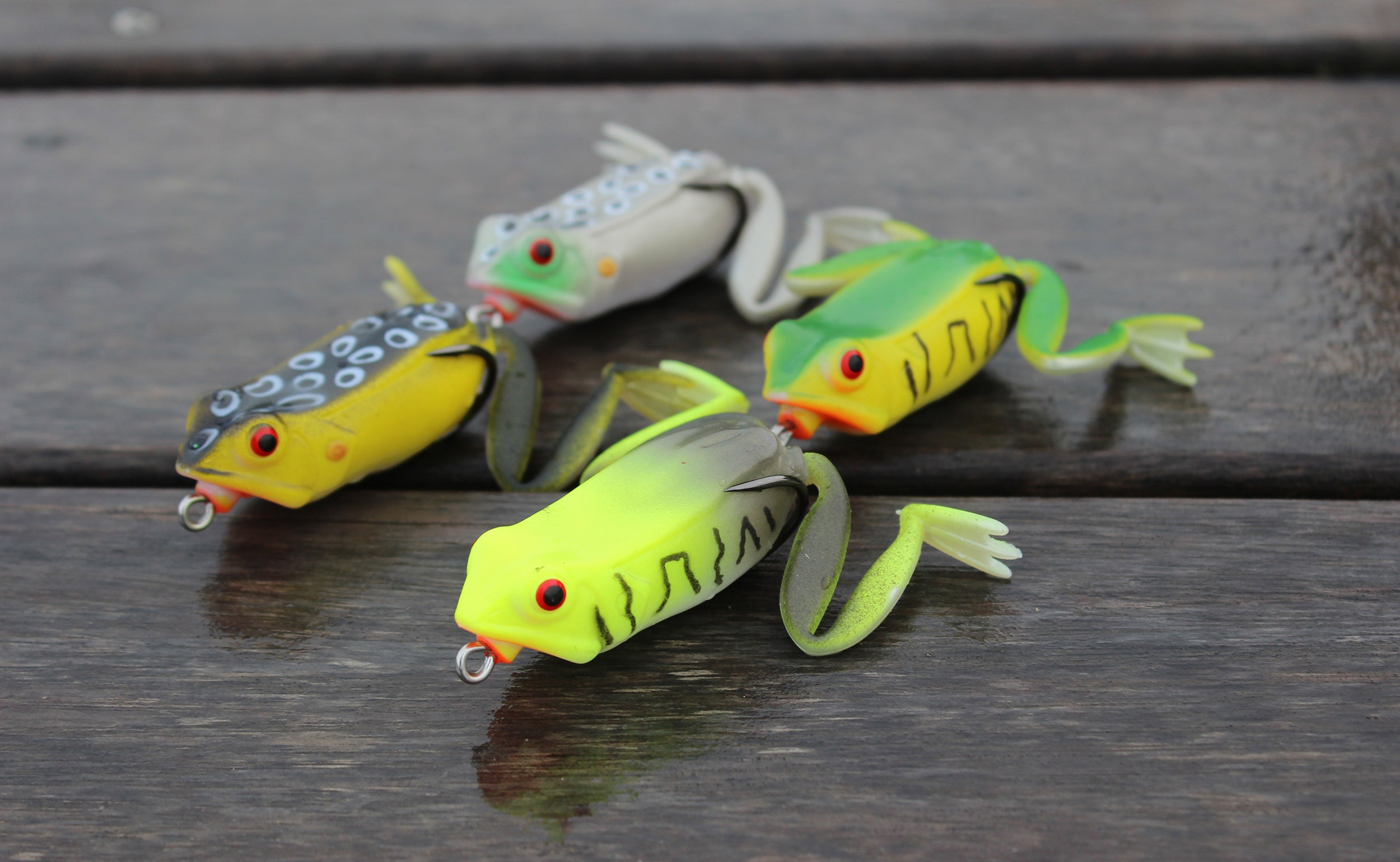 Simple Guide to Frog Lures for Bass Fishing Basstrike