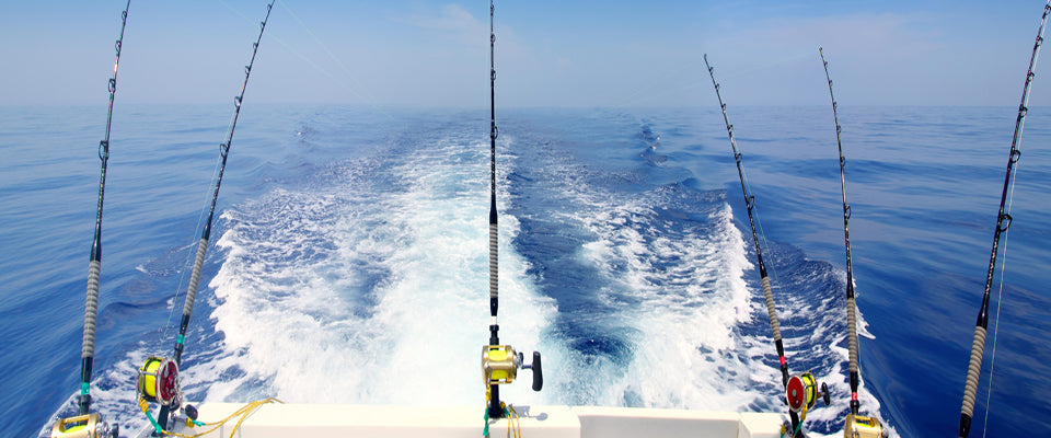 Saltwater Fishing