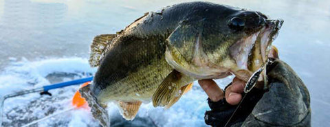 Winter BASS fishing