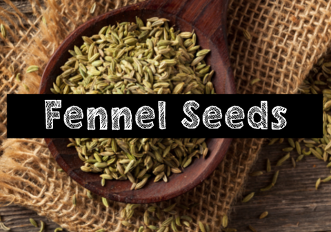 https://cdn.shopify.com/s/files/1/2261/6361/files/Fennel_Seeds_53b5b8ff-d4fc-442b-93a4-4990661fd81f_480x480.png?v=1626364406