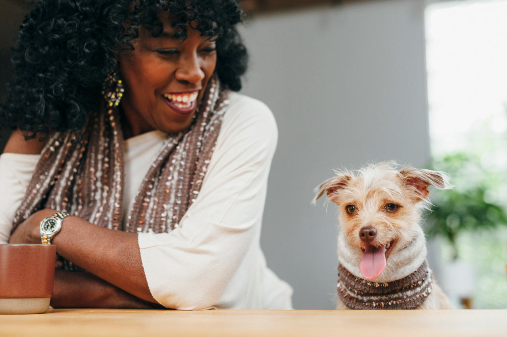 dog and human matching