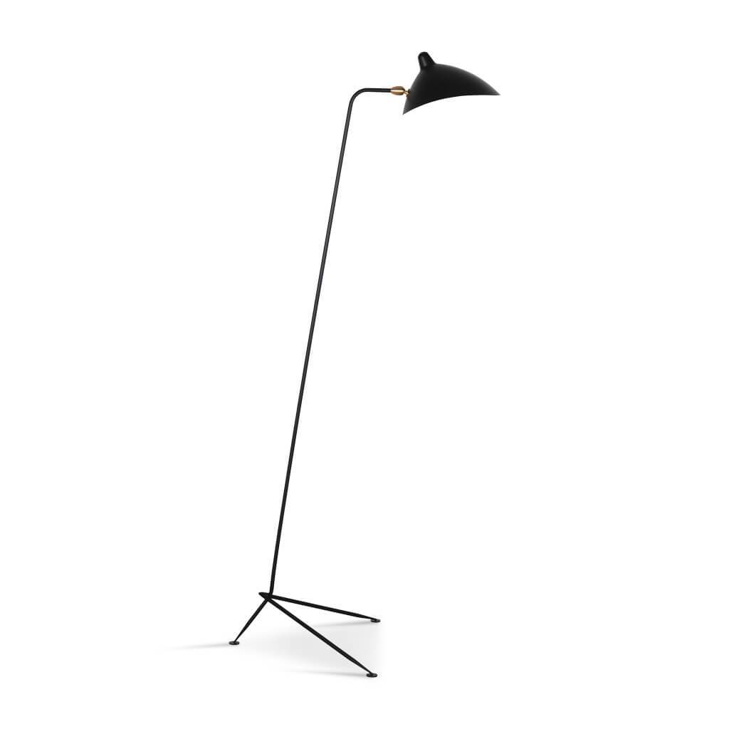 arm floor lamp