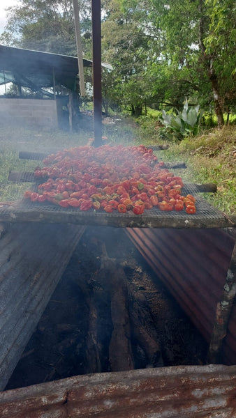 Roasted Peppers