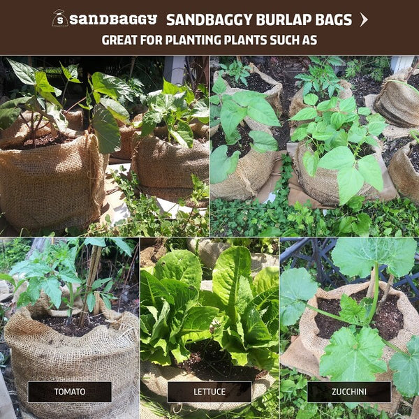 Use Burlap sacks for planting tomato, lettuce, and zucchini.