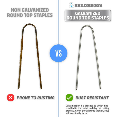 Galvanized vs Non Galvanized Curved Top Staples