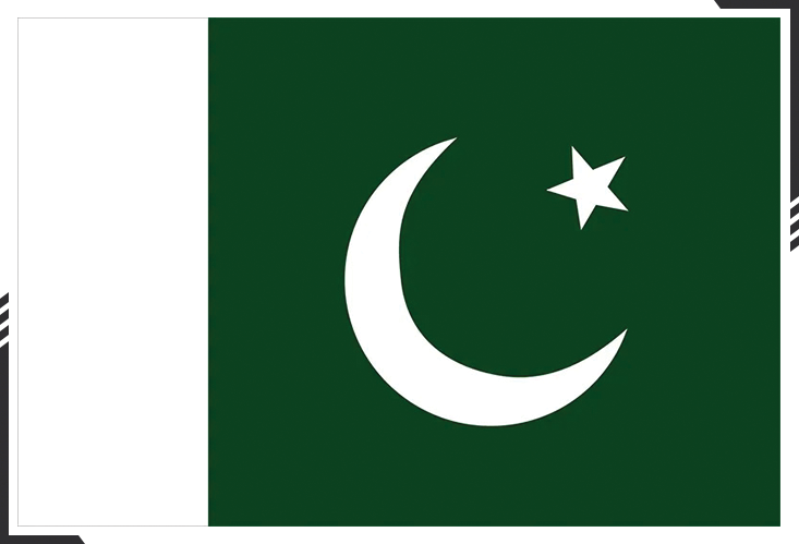 The Pakistani flag