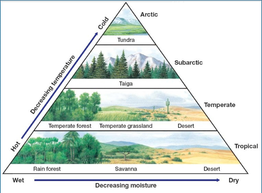 Climate Types Pyramid Representation