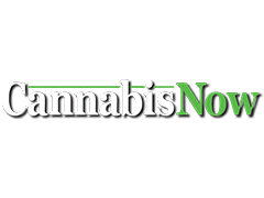 cannabis now magazine