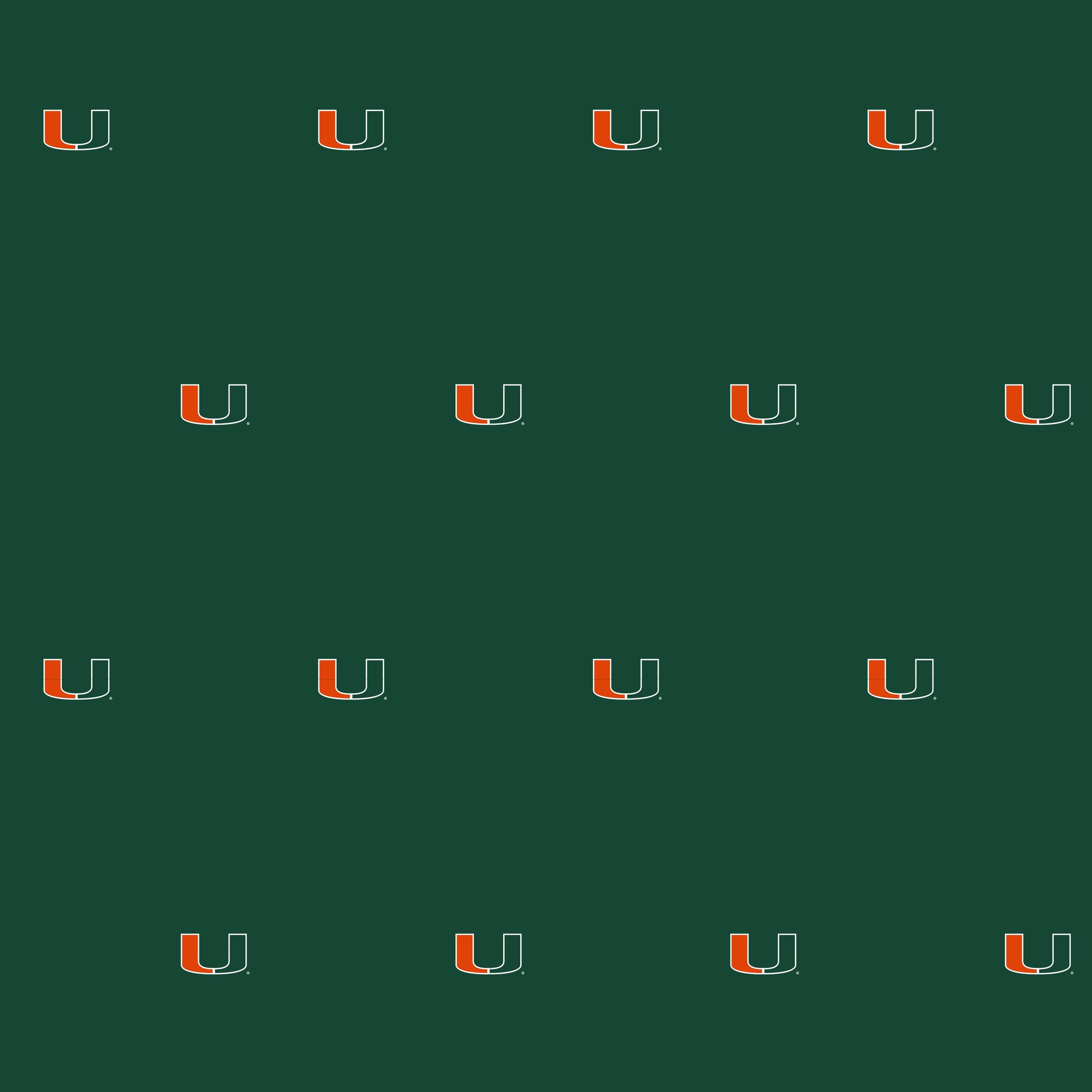 Black Miami Hurricanes Wallpaper