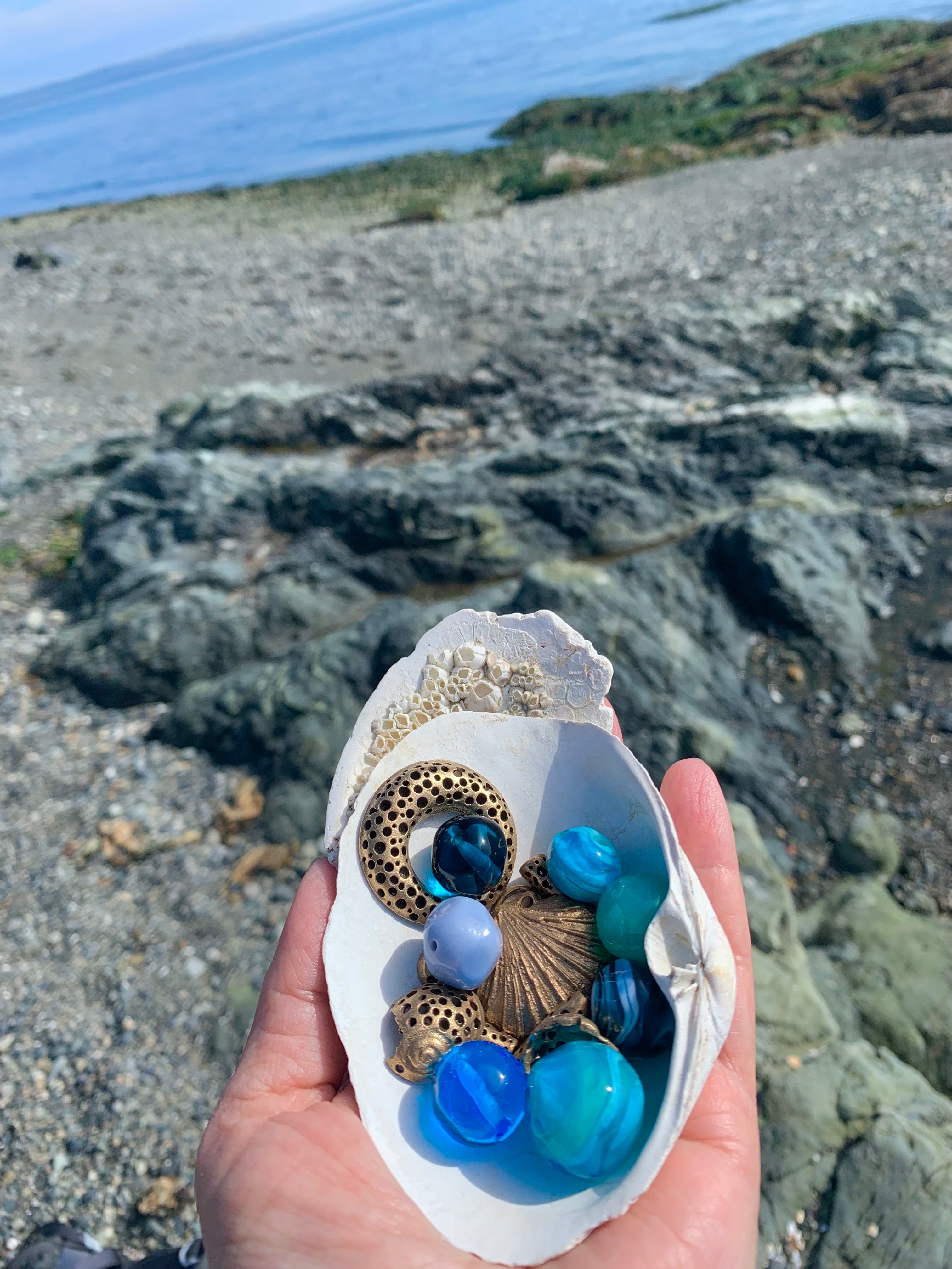 Seashell with treasure at the beach