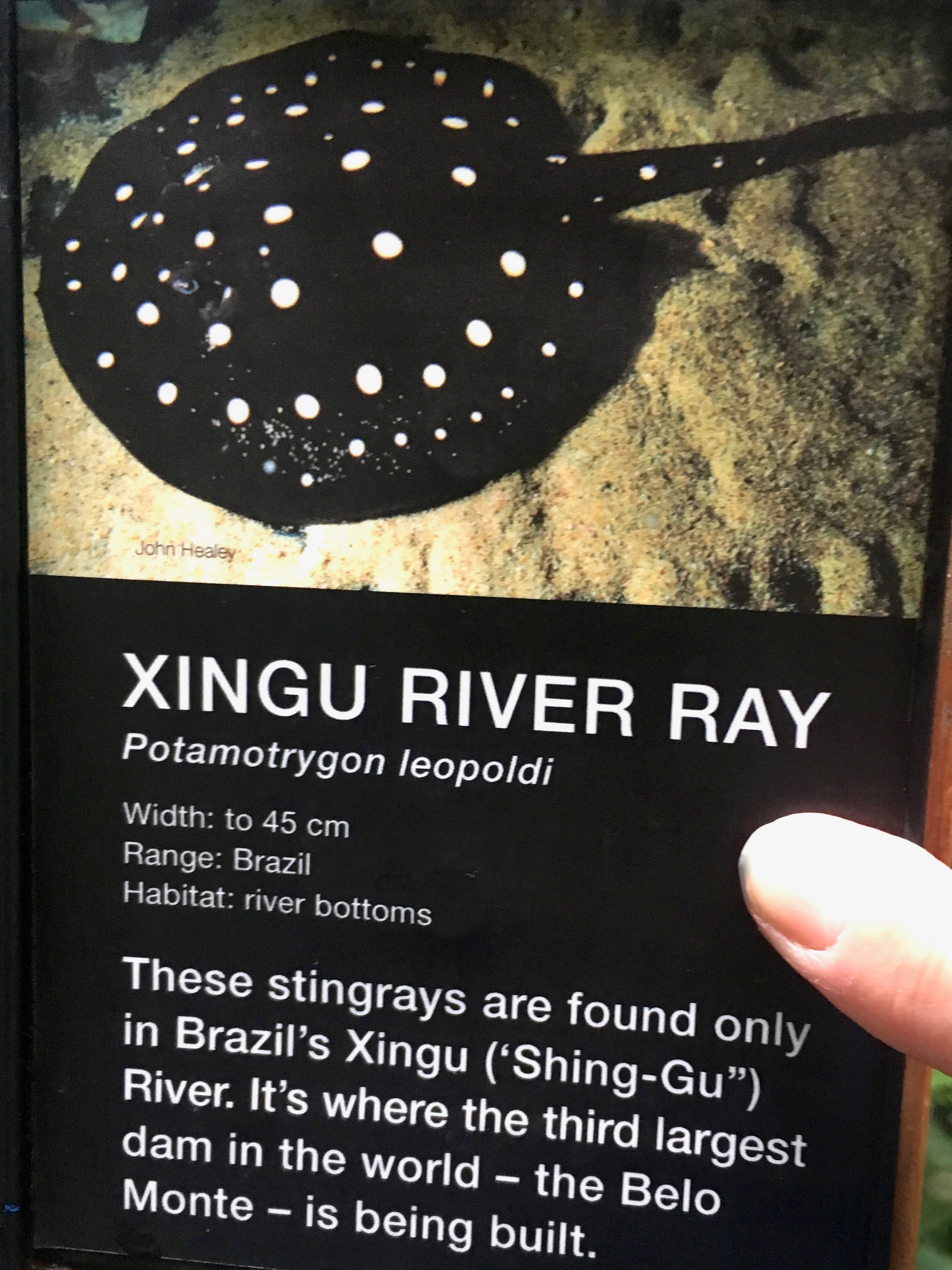 River Ray sign Vancouver Aquarium