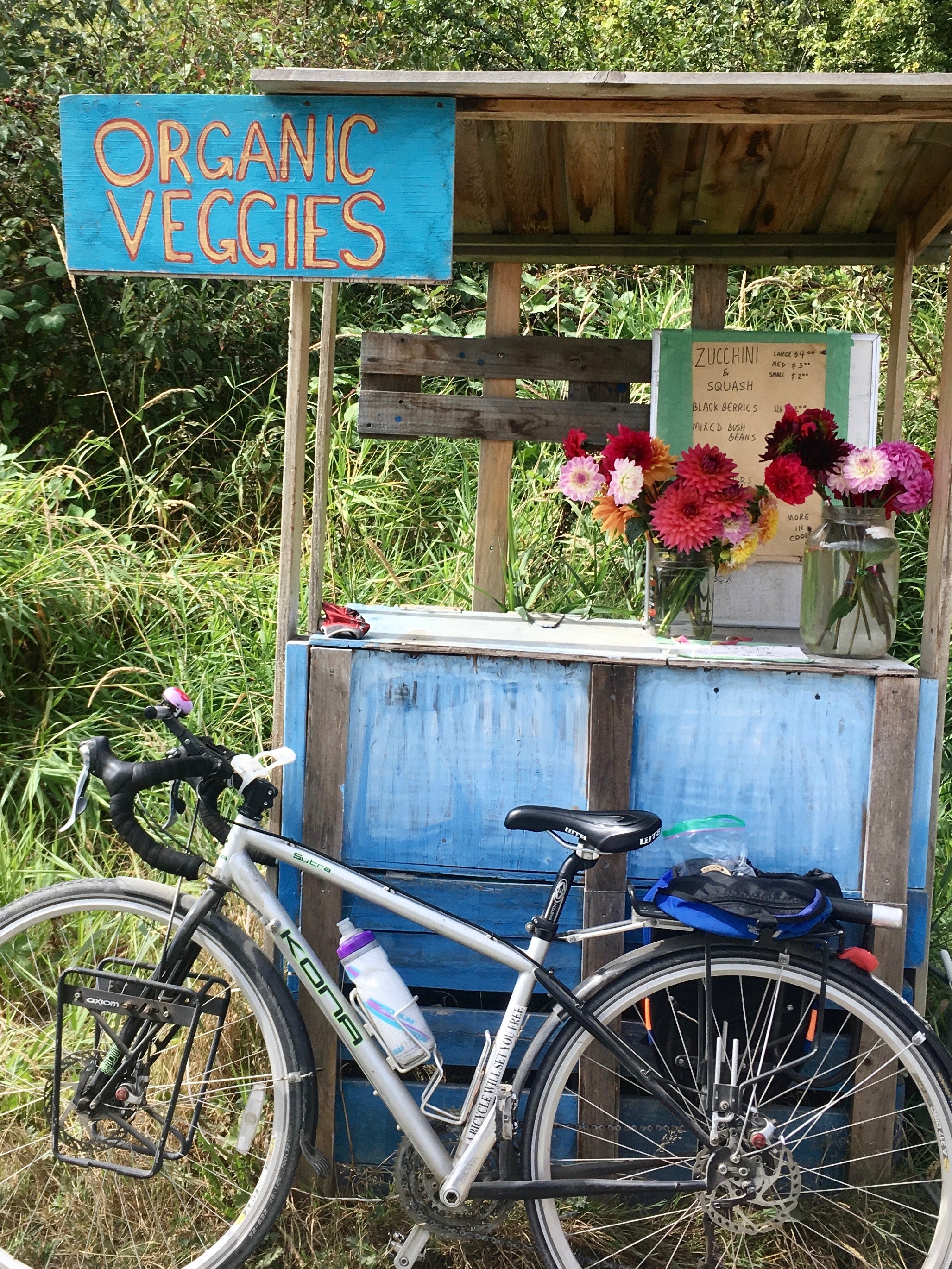 farm stand flowers and bike rides