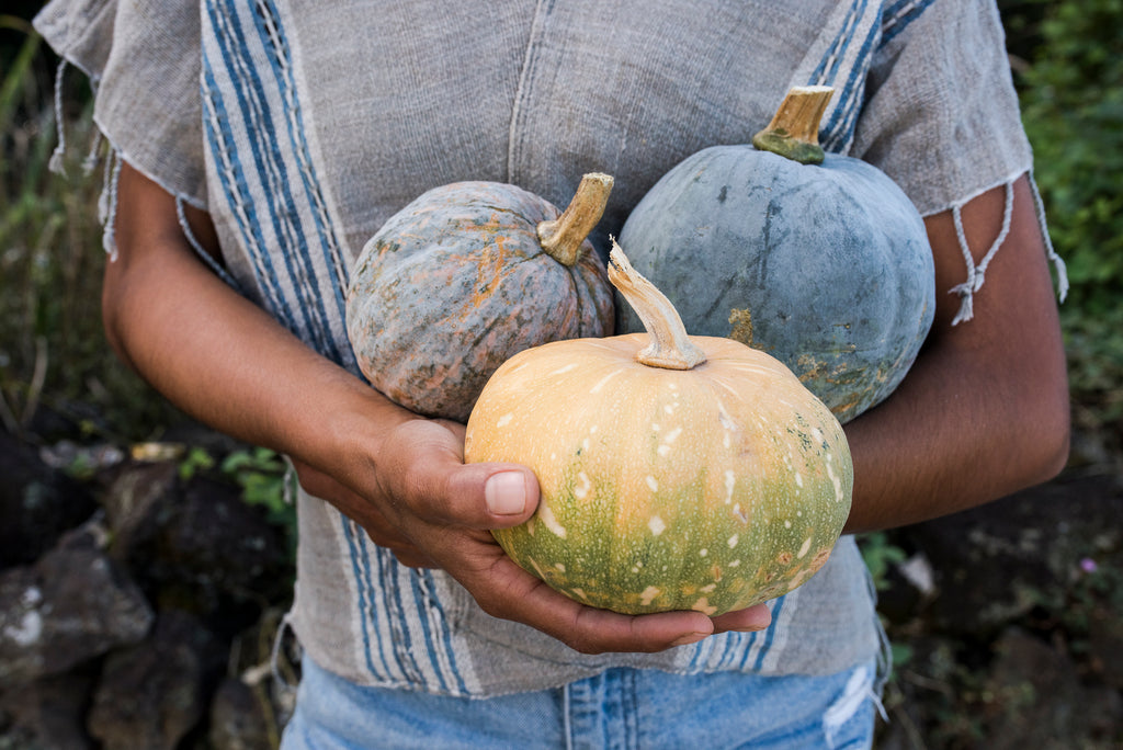 farmer holding squash pumpkins