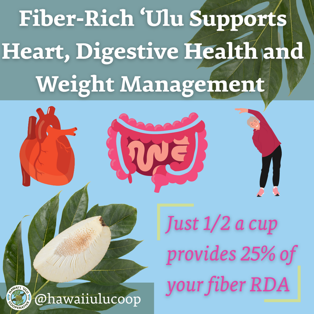 Breadfruit Health Benefits Fiber Infographic