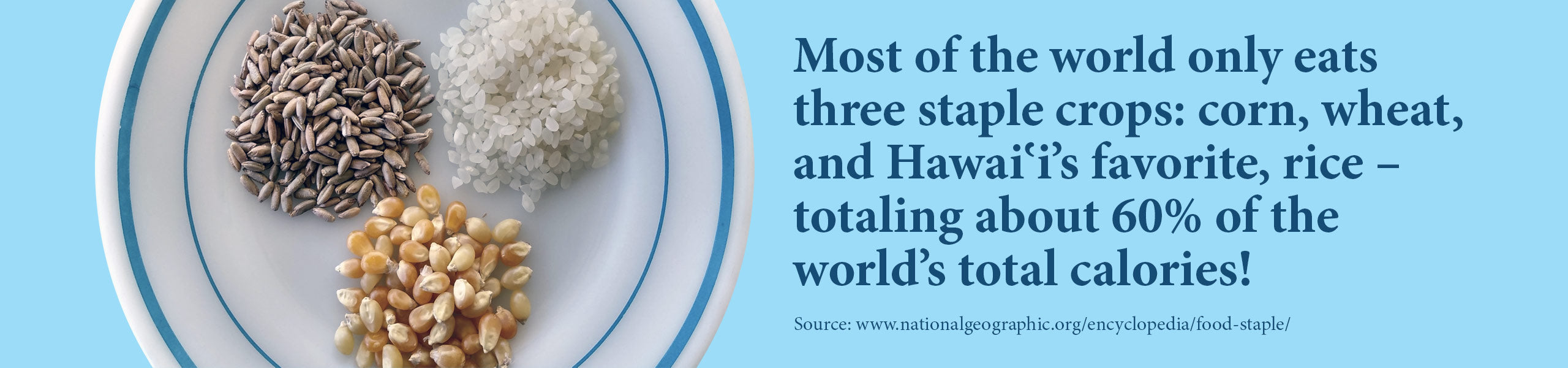 most of the world only eats three staple crops: corn, wheat, and Hawaiʻi’s favorite, rice – totaling about 60% of the world’s total calories!