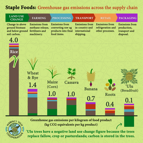 graph comparing greenhouse gas emissions of staple foods