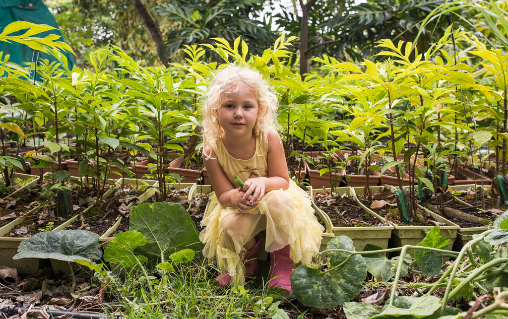 keiki in ulu tree nursery