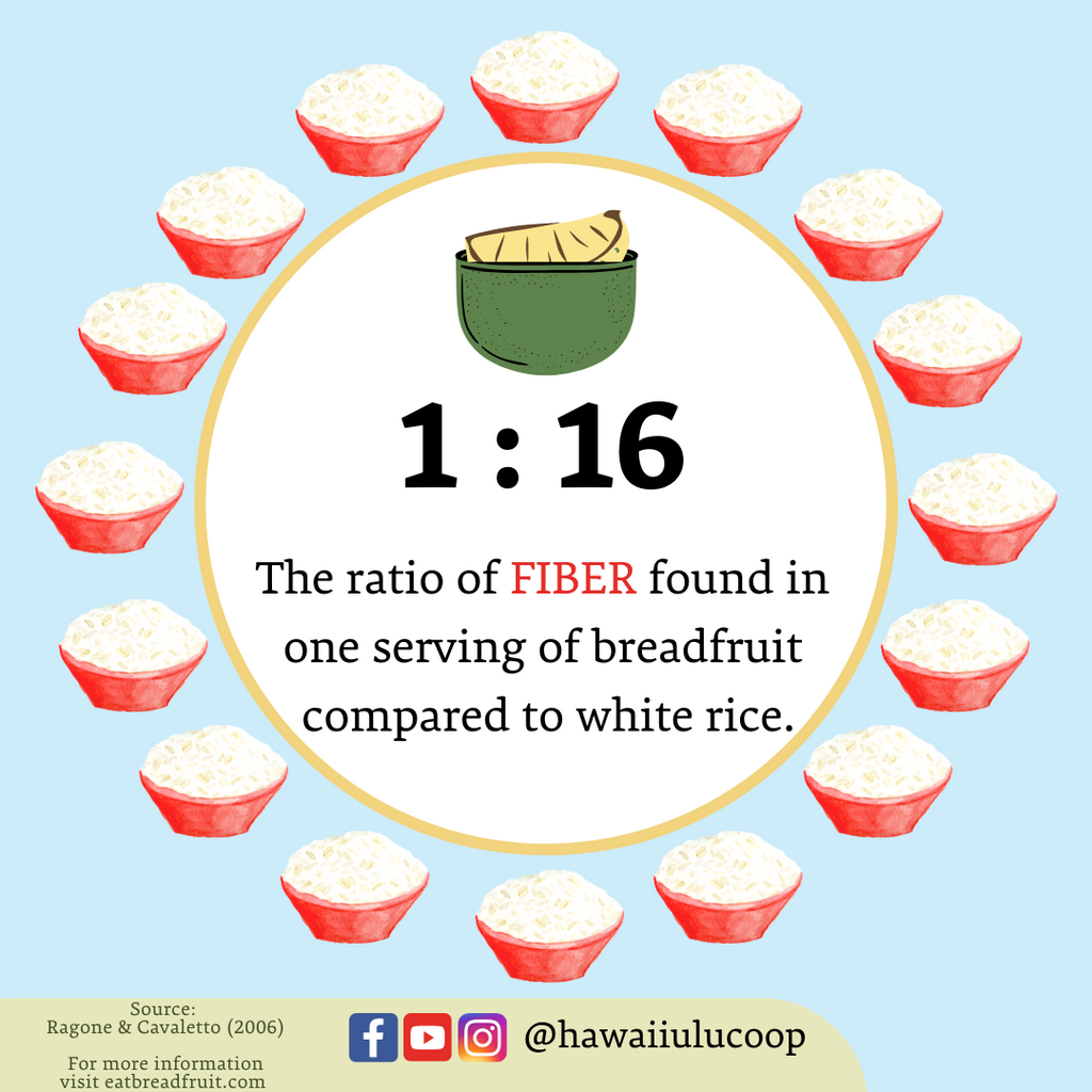 Breadfruit Fiber Content Compared to Rice