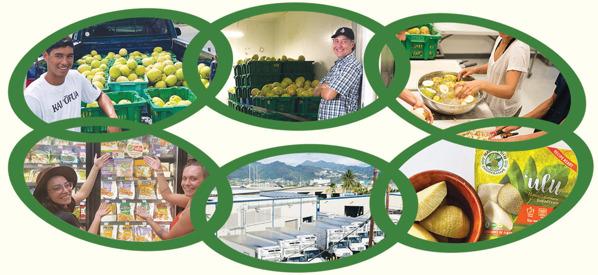 Agricultural Value Chain Hawaii