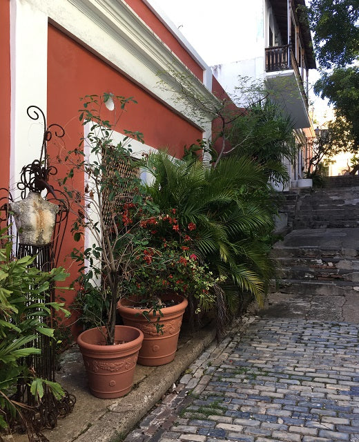 Creative Business Planning Retreat | Old San Juan, Puerto Rico | halfmoon RETREATS