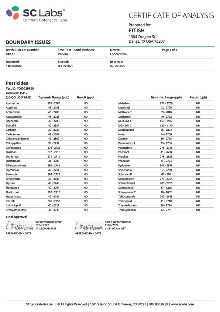 boundary issues lab results