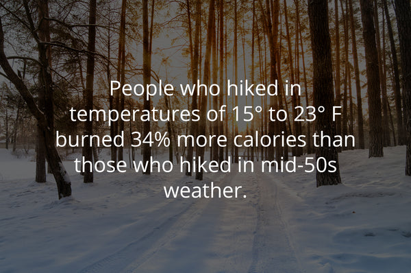Winter Hiking Tips for Beginners