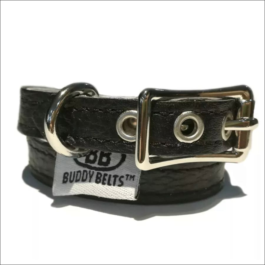 Harness – Permanent – Buddy Belts