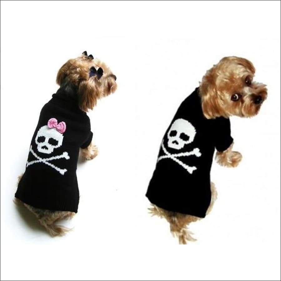 Jolly Roger Skull Sweater for Her by Dallas Dog