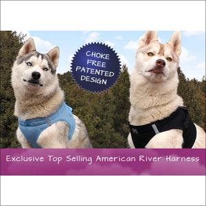 American River Ultra Choke-Free Mesh Dog Harness - Hunter Orange