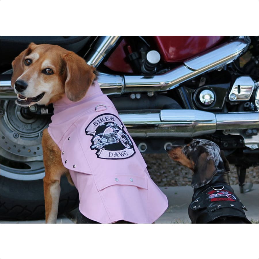 Faux Fur Dog Biker Jacket: Black  Shop Dog Jackets – TeaCups
