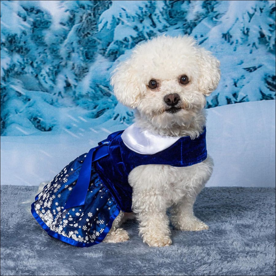 Designer Inspired Couture Pet Harness Dress with a Satin print. 