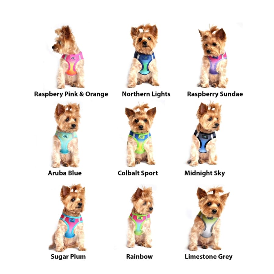 American River Ultra Choke-Free Mesh Dog Harness by Doggie Design