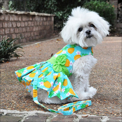 Pink Polka Dot and Lace Dog Dress Set - with Leash, Medium