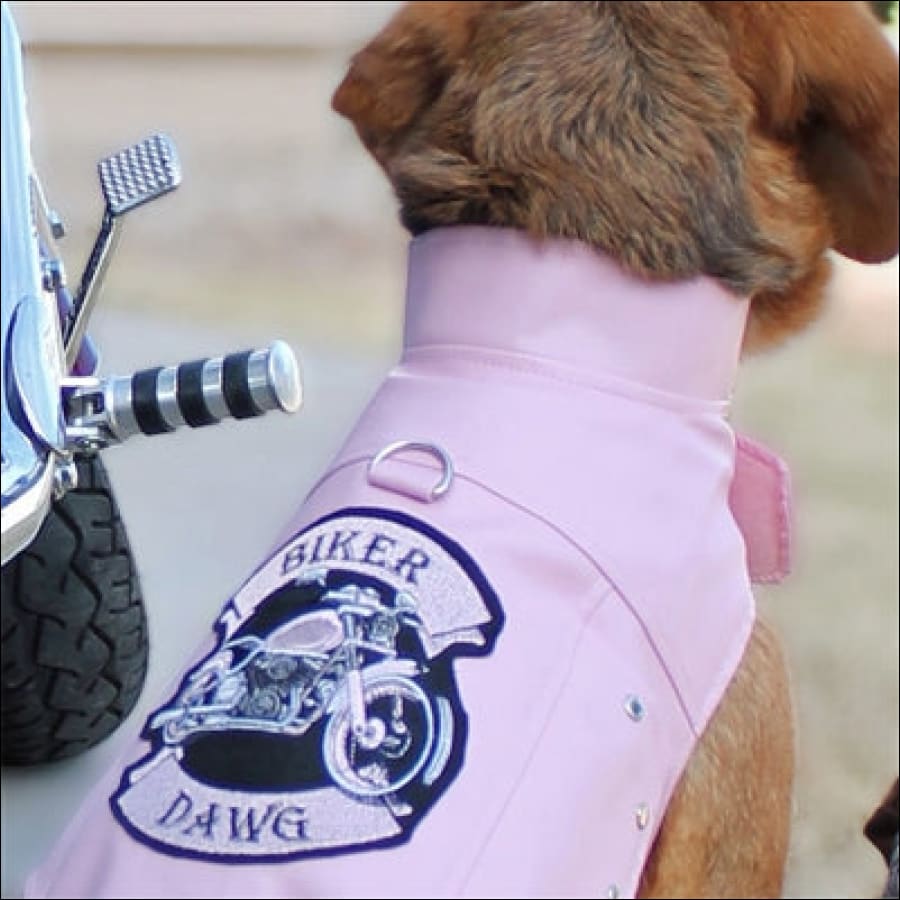 Dog motorcycle shop vest