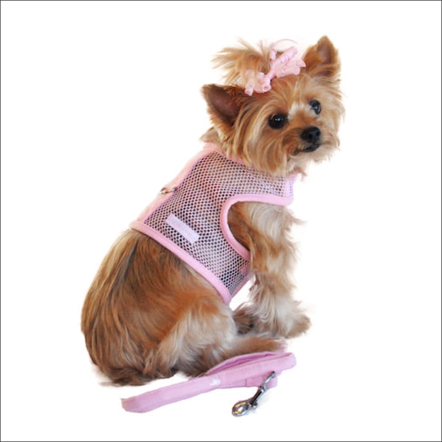 Mesh Dog Harness