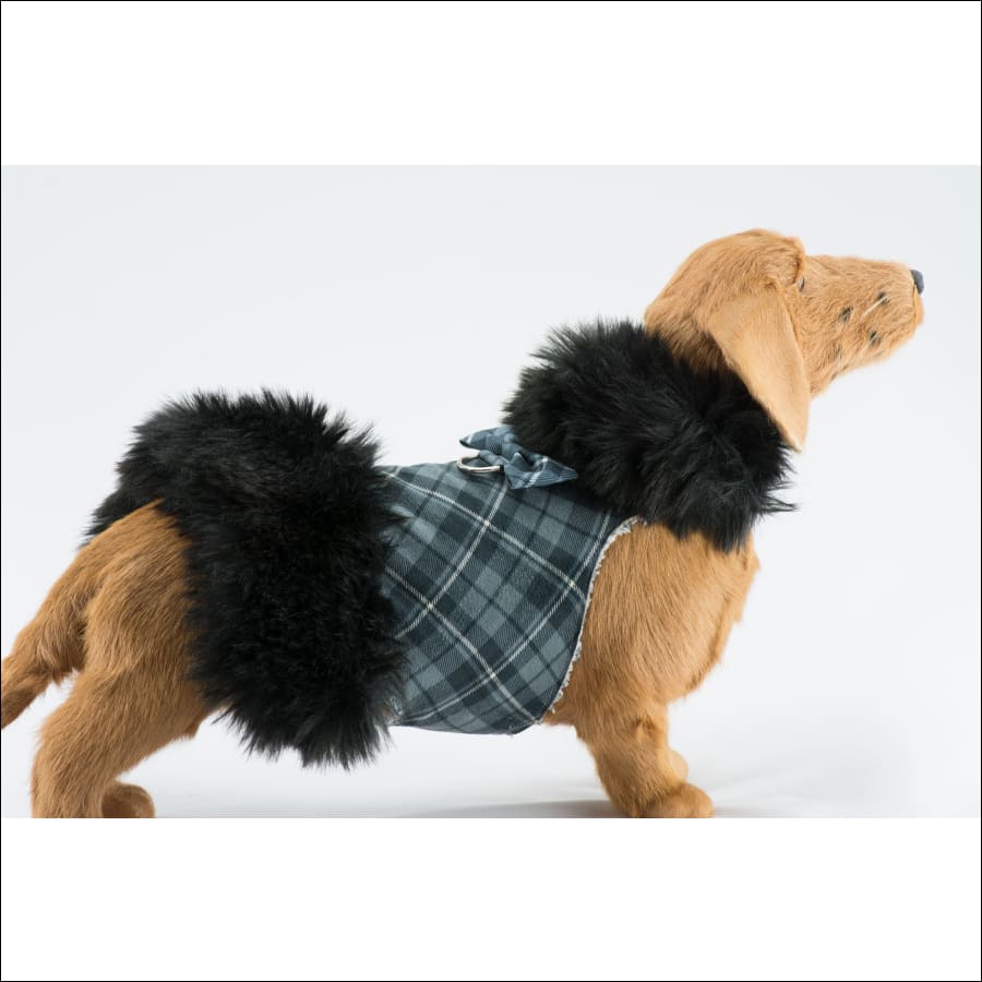 Yuppy Puppy Boutique - Susan Lanci Designs Scotty Charcoal