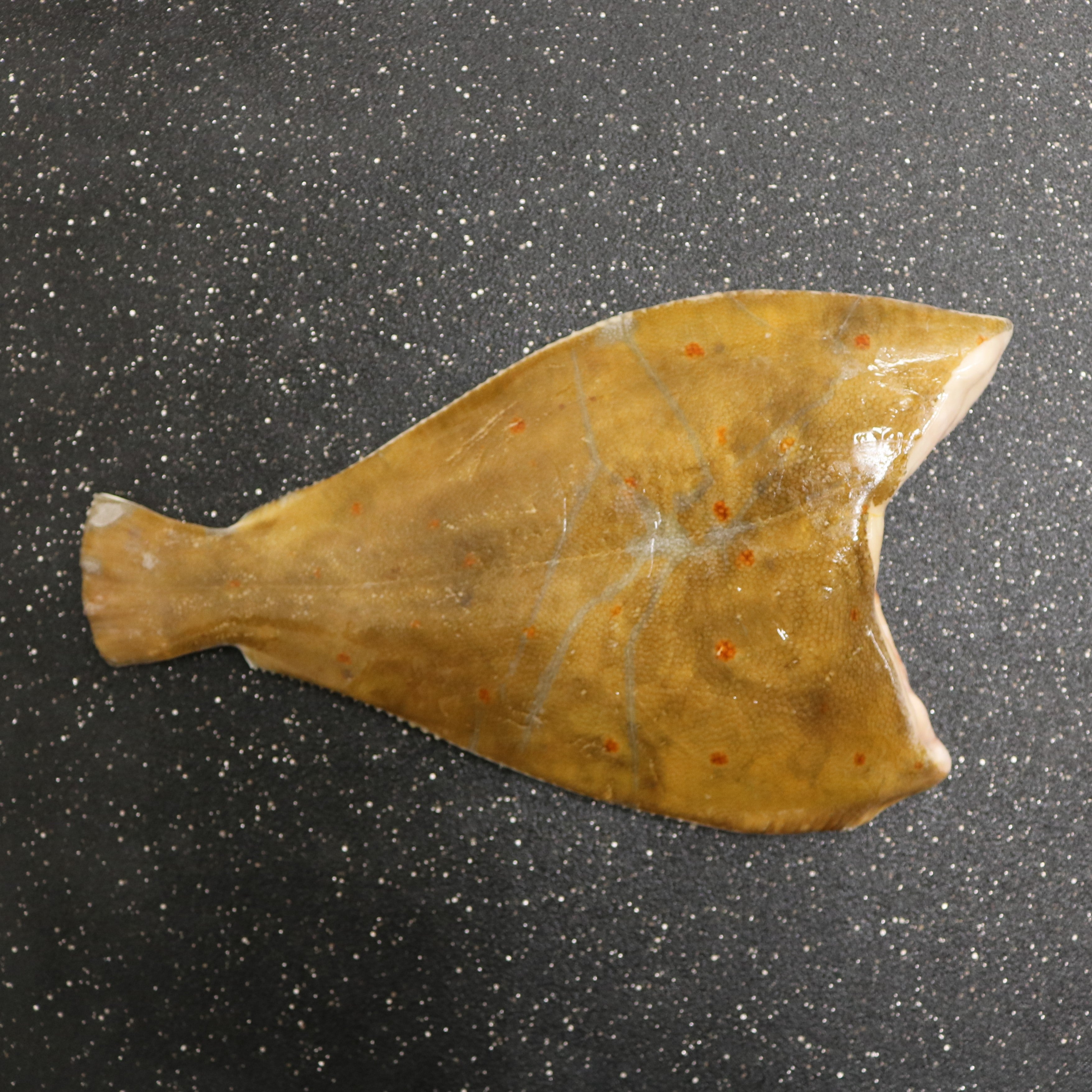 Featured image of post How to Make Fish Plaice Fillet Frozen