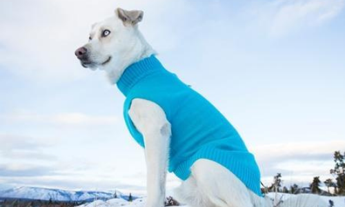 Baseline Fleece Pullover  Cozy Fleece Dog Coat Jacket