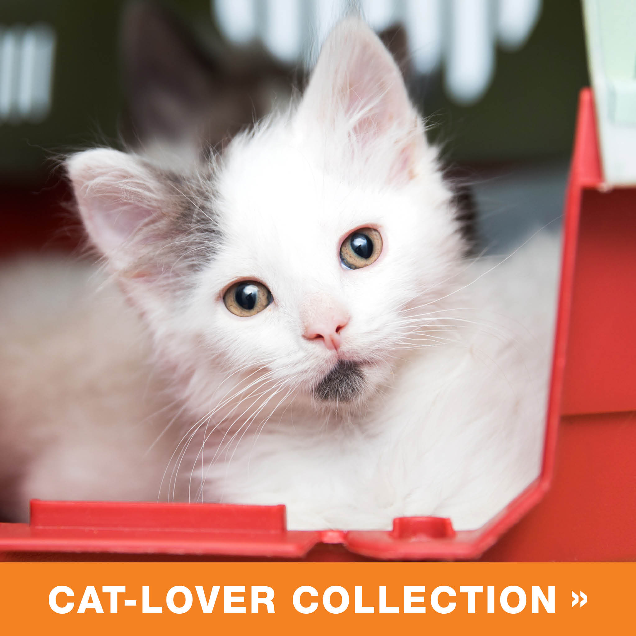 Cat Lovers Collection